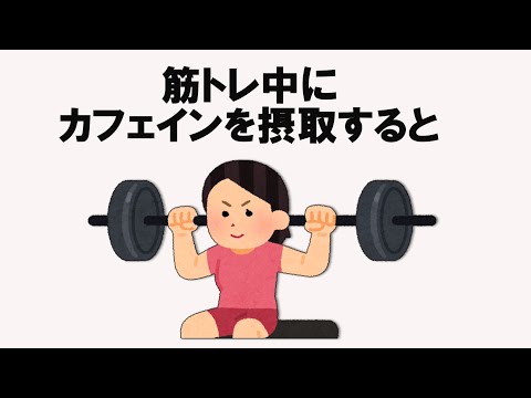 筋トレに関する雑学【明日の話のネタに】＃雑学　＃１分間　＃筋トレ