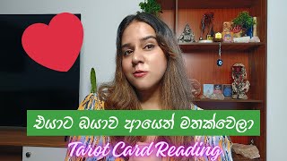 හැර ගිය එයා ඔයා ගැන ආයෙත් හිතනවා EX WANTS YOU BACK COLLECTIVE TAROT READING SINHALA