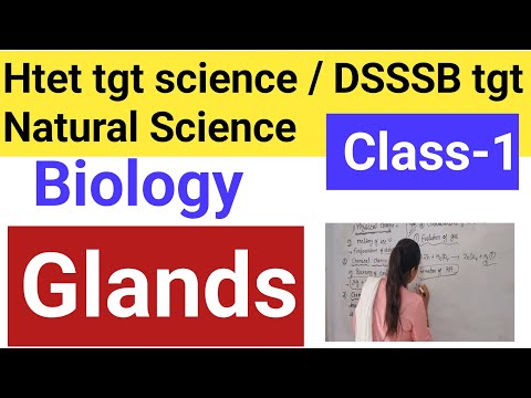 Htet tgt science DSSSB natural science ||Glands (Part-1)#dsssb2024 #htettgtscience