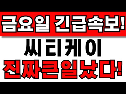 [씨티케이 주가전망] 주주님들 필수시청! 앞으로 이렇게 대응하세요