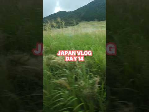 Japan Vlog: Day 14