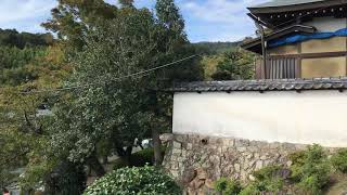 神前結婚式の日 多田神社