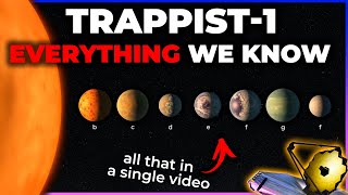 The Ultimate Guide to the TRAPPIST-1 System