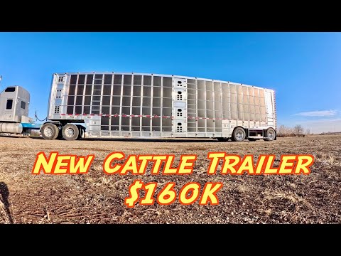 Brand New 160k Cattle Trailer!