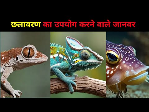 छलावरण का उपयोग करने वाले जानवर | Animals That Use Camouflage