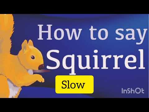 How to say Squirrel 🐿️ ll squirrel Pronounciation ll #pronouciation #words