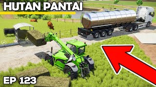 PAMPERING THE ANGUS | Farming Simulator 25 - Hutan Pantai | Episode 123