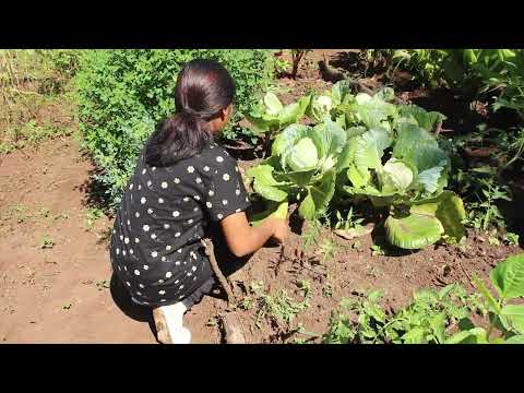 Fomento de los derechos y agroecología en la niñez y la adolescencia