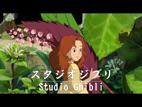 [Playlist] Best Relaxing Piano Studio Ghibli Complete Collection🎵Soothing  Sounds for Meditation