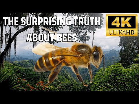 The Surprising Truth About Bees Nobody Tells You