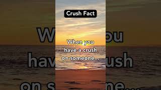 Crush Facts  #crushadvice #crushconfessions #crushculture