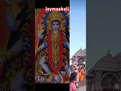 #jaymaakali  #pavagadhtemplegujrat  #pavagadhnadungrere #ytshorts #sorts