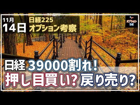 【日経225オプション考察】11/14 日経平均 39000円割れ！ ここから押し目買い？それとも戻り売り？