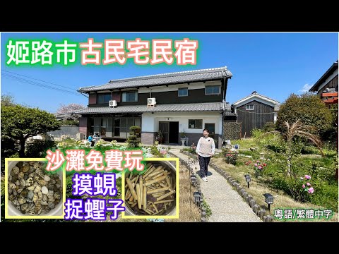 摸蜆 捉蟶子 住古民宅民宿