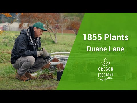 How Duane Lane supports his Native Community | Food System Ambassador