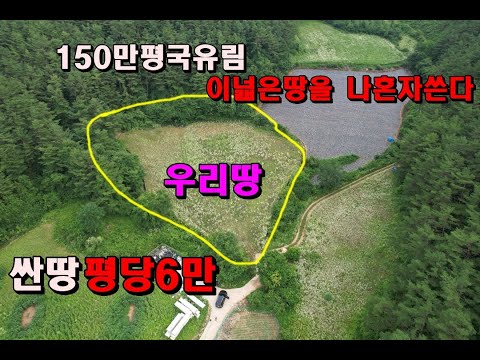 (정선산골)150만평 국유림접한 귀농 과수원하기좋은땅/독립된공간/나홀로땅/정선부동산매매/정선토지매매