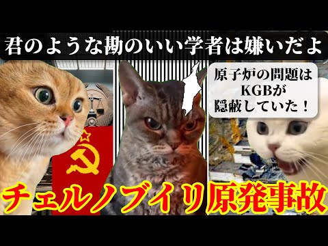 猫ミームで学ぶチェルノブイリ原発事故 #猫ミーム ＃猫マニ #ウクライナ #ロシア