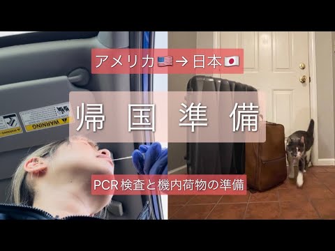 【一時帰国】【アメリカ→日本】長時間フライトの手荷物、何持ってく？｜アメリカから日本への一時帰国、必要な準備｜帰国前PCR検査｜アメリカでのPCR検査の実際