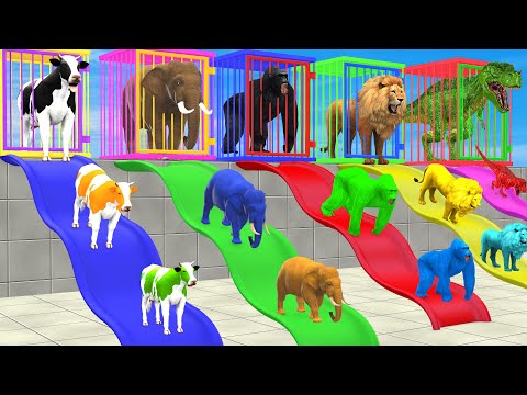 Cow Elephant Tiger Gorilla Hippo 3d Animal Long Slide Game Funny 3d Paint Animals Cage Game