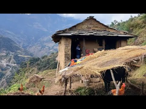 A mountain village organic life | West Nepal visit life | Rural Nepal |