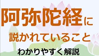 阿弥陀経に説かれている浄土とは【浄土真宗の教え】