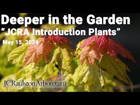 Deeper in the Garden - "JCRA Introduction Plants"