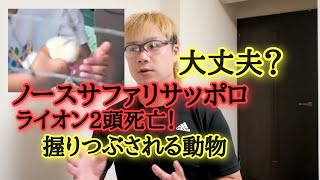 ライオン2頭死亡。ノースサファリサッポロはヤバいのか？