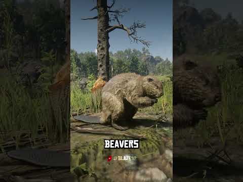 RDR 2 is not a game. It's Real Life!! (Beavers' Territory)