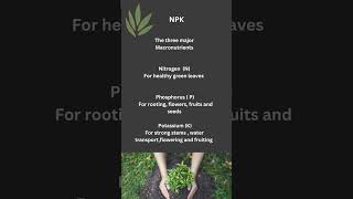 what does NPK mean for plants?