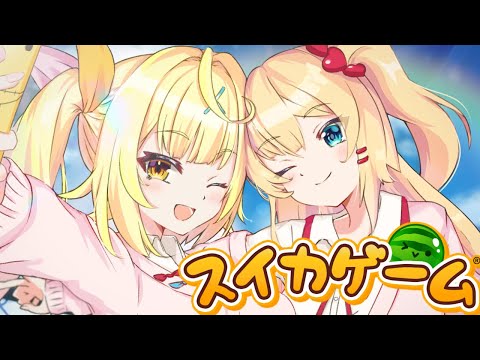 【スイカゲーム】星川とオフコラボでバトル！【#ほしちゃま ｜ホロライブ/にじさんじ】