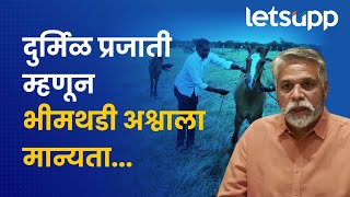 Bhimthadi Horse : भीमथडी अश्वाला अधिकृत प्रजाती म्हणून मान्यता... | LetsUpp Marathi