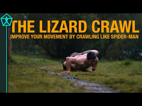 Transformative Power of Lizard Crawl - This Move Trains EVERYTHING (Almost)