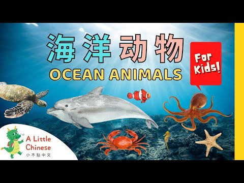 23 Ocean Animals in Chinese 海洋动物 | Animal Vocabulary | Learn Chinese for Kids, Toddlers & Babies