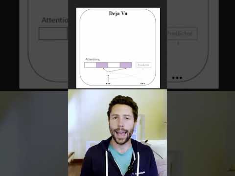 Faster LLM Inference NO ACCURACY LOSS