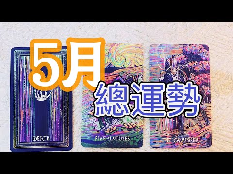 🔮✨五月總運占卜~順利還是挑戰？提前預警你的五月運勢！【蜜拉塔羅占卜🌹】