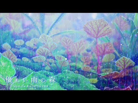 The sound of gentle rain. The beautiful forest. Ambience video for sleep.