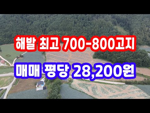 산 촌 땅, 숲 골 땅, 밭 전 싼 땅, 해발 700-800고지 평 당 28,200원 급매물 과 반값 매매 초 급매용 매물 시골땅