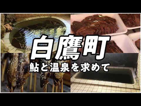 【白鷹町】山形県の赤字ローカル線の終着駅には何がある？