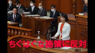 伊藤孝恵　参議院議員　20240328　本会議