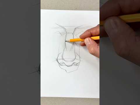 Let’s Draw Nose with me #howtodraw #drawingtutorial #sketchbook