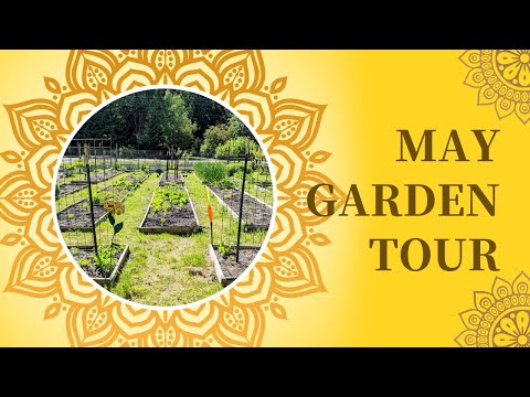 May Garden Tour | Pacific Northwest | Zone 8b