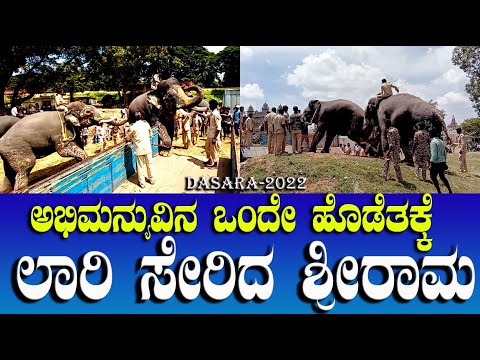 ಅಭಿಮನ್ಯುವಿನ ಒಂದೇ ಹೊಡೆತಕ್ಕೆ ಲಾರಿ ಸೇರಿದ ಶ್ರೀರಾಮ | Abhimanyu | Mysore Dasara 2022 | Sri Rama Elephant |