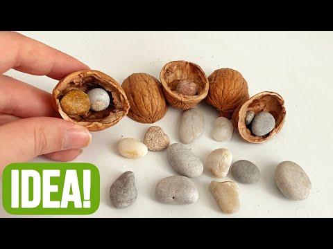 Unusual Idea with Pebbles and Walnut Shells!