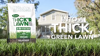 How to Get a Thicker Lawn Using Scotts® Turf Builder® Thick'R Lawn® 3-In-1 Solution