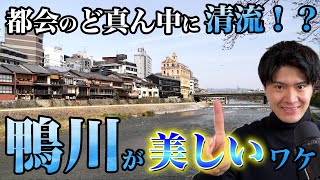 大都会京都を流れる「鴨川」はなぜ清流なのか？上流から下流まで練り歩き、驚きの理由を徹底レポート