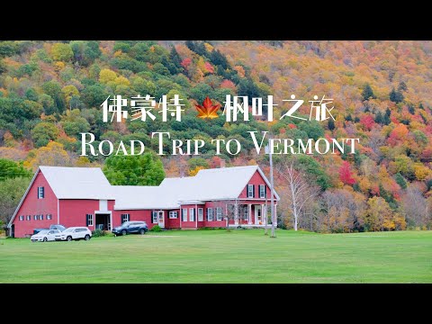 2021佛蒙特枫叶之旅 入住湖景Airbnb民宿参观 Family Road Trip Vermont 睇马show 划艇 Jenne Road Farm ｜ #旅游vlog #6  #Vermont