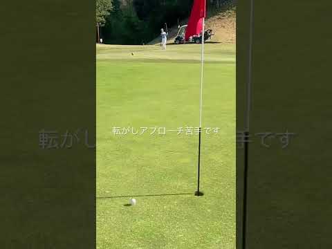 転がしアプローチ苦手な人 #ゴルフ #short #shorts #golf