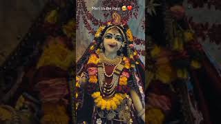 Jay shree Radhe Rani | Radhe radhe | Braj Kishori #status #best_whatsapp_status #radharani