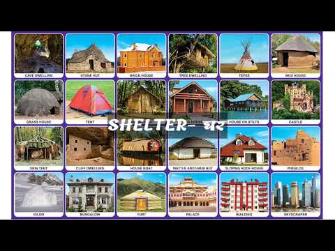 SHELTER- Basic Things for Human Beings part-2|#english|#teacher|#knowledge