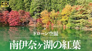 【白鳥の湖】4K 南伊奈ヶ湖の紅葉　山梨県南アルプス市の穴場絶景スポット！【ドローン空撮】